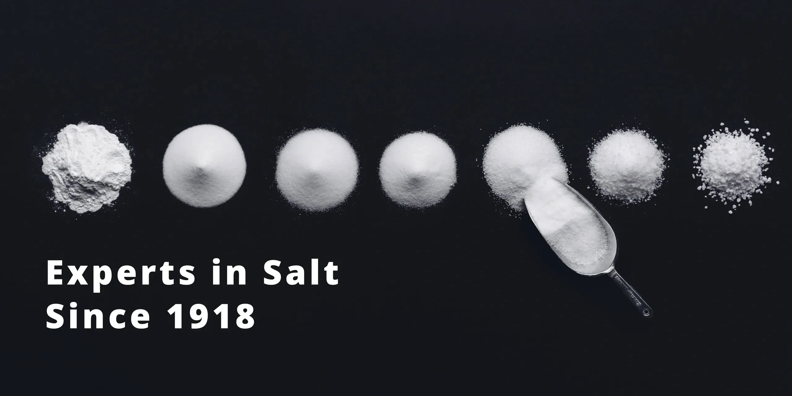 Salt Specialties B.V. (Salins Group) facility